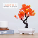 Bonsai Artificial - Vários Modelos